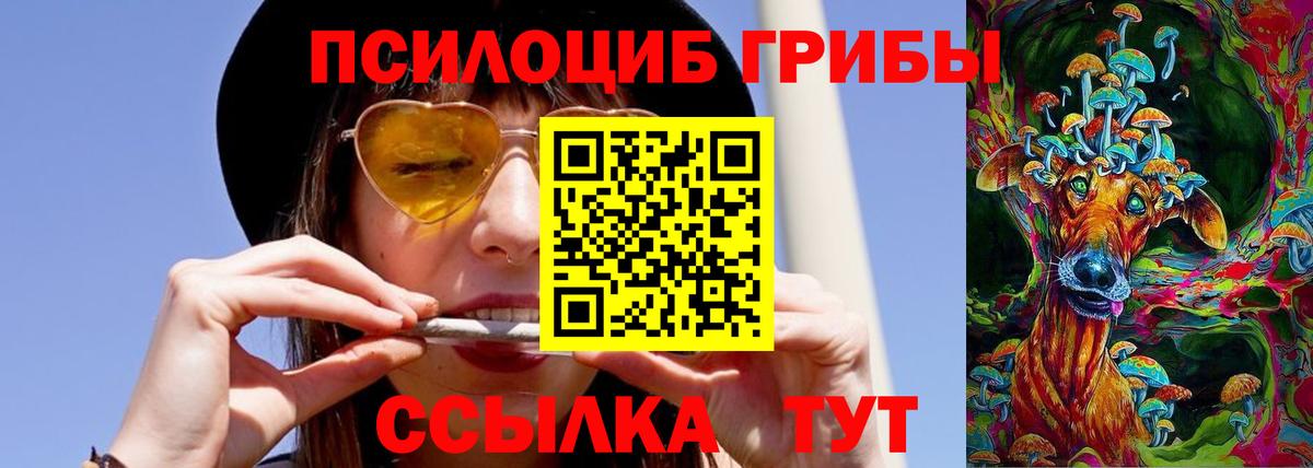 Псилоцибиновые грибы мухоморы Тавда