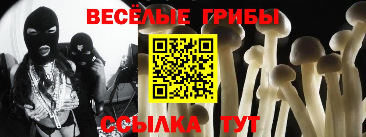 Псилоцибиновые грибы Psilocybine cubensis  Вход с VPN  Тавда 